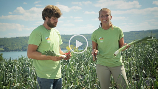 Wegmans Organic Farm Leeks