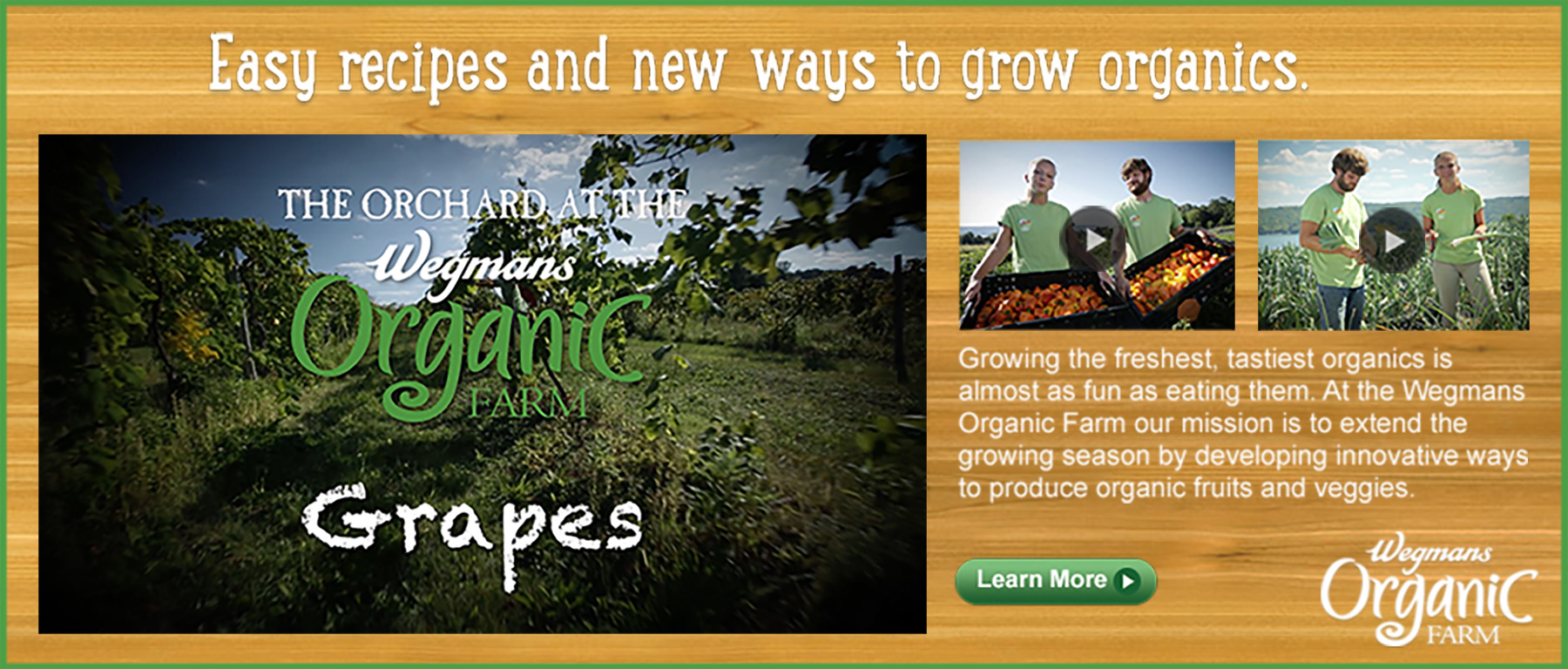 Wegmans Organic Farm Digital Video Production