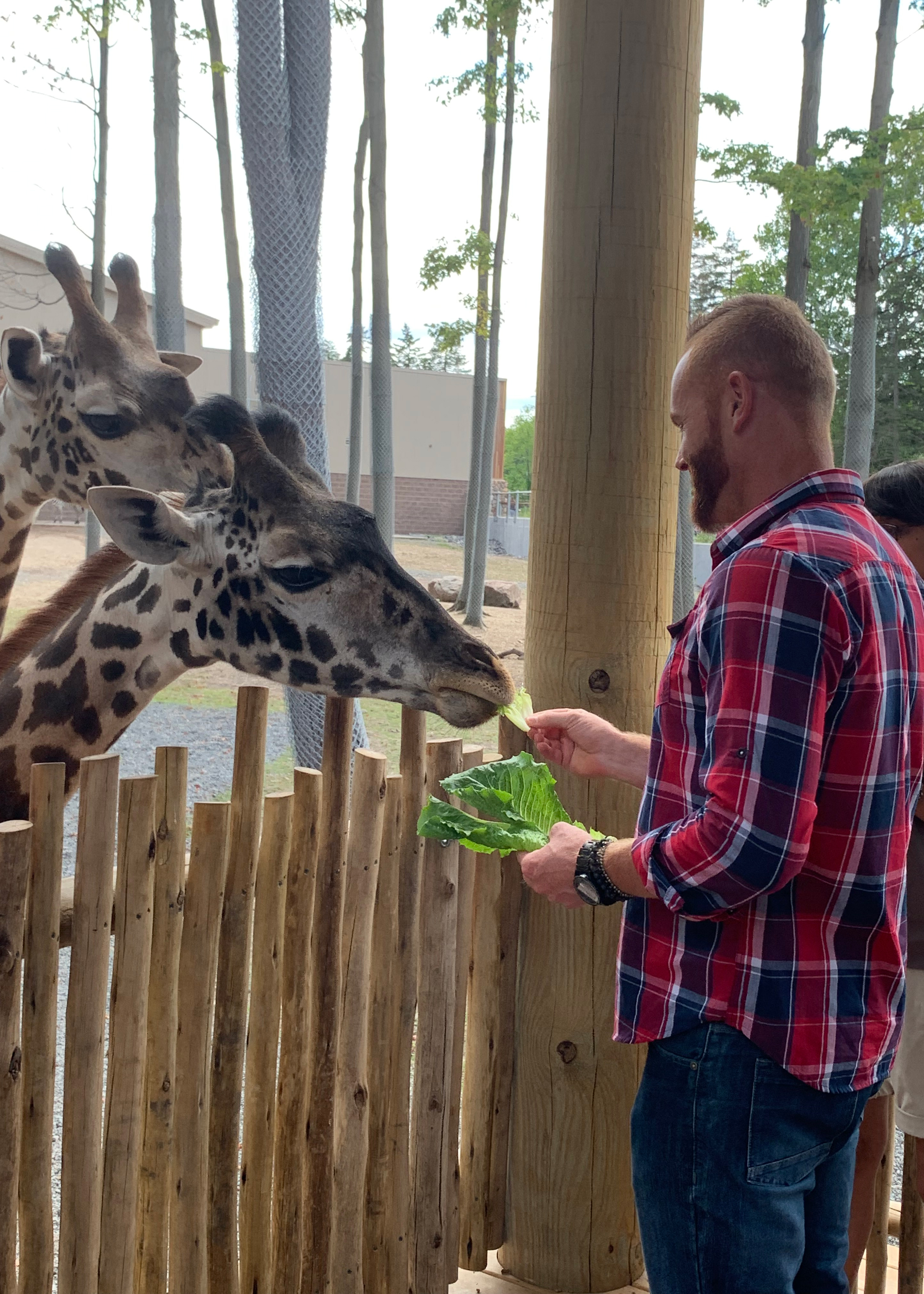 Jay Advertising Goes to the Zoo