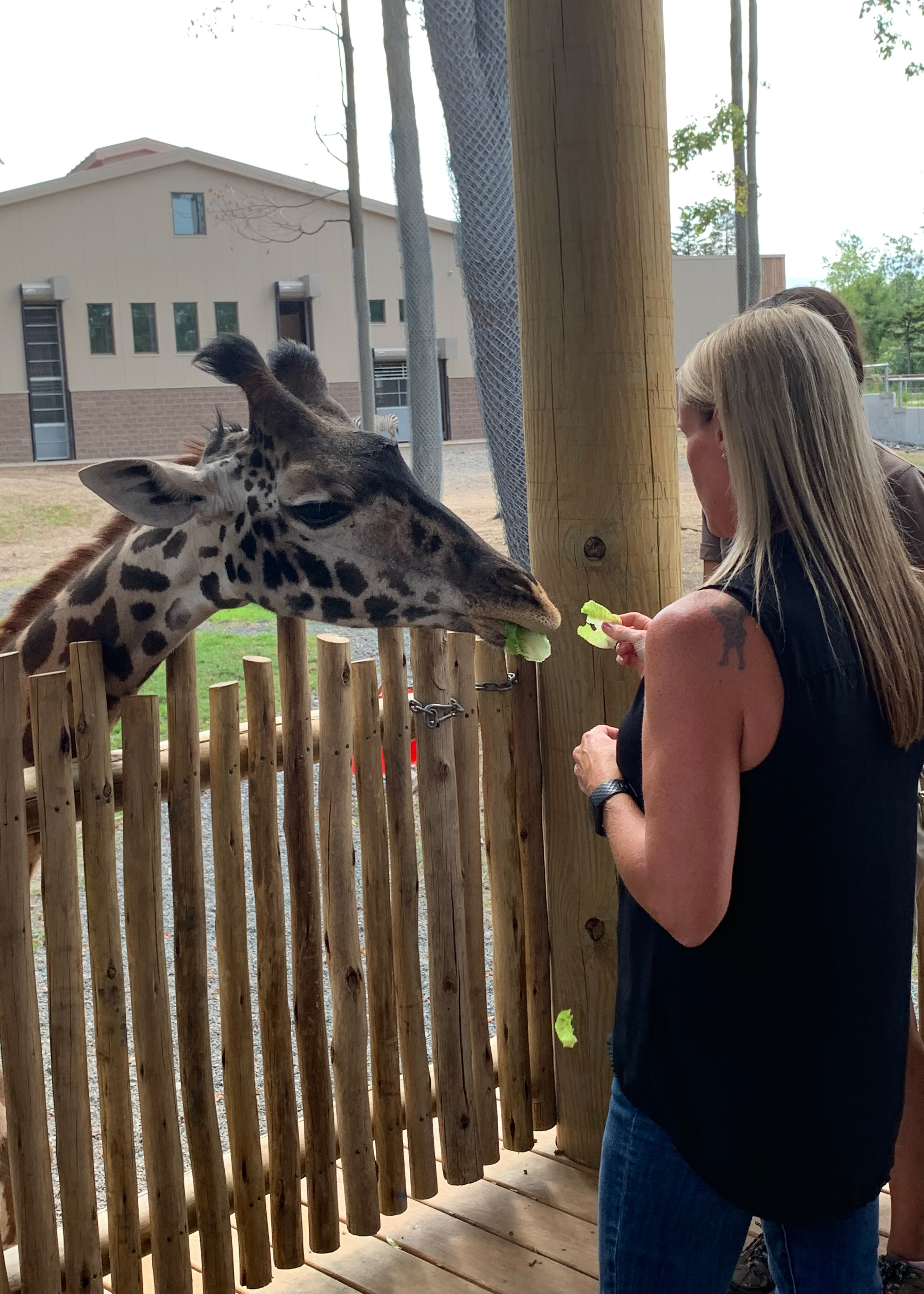 Jay Advertising Goes to the Zoo