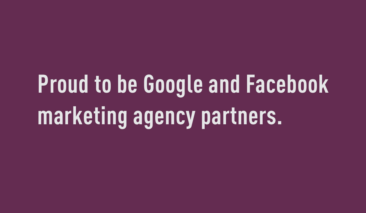 Facebook and Google Partners